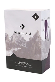 Moraj KDT3500-001 Spodnie termoaktywne, violet