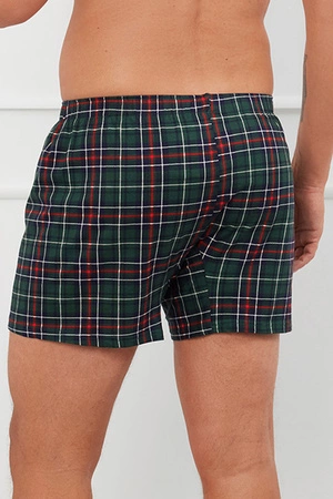 Italian Fashion Fogo Majtki bokserki, druk/zielony