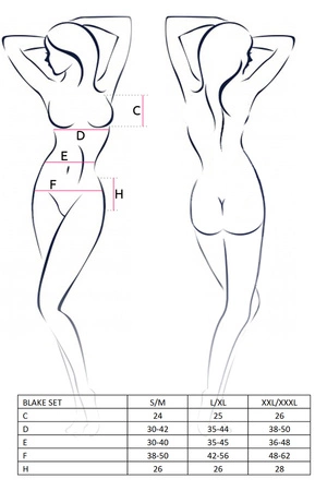 Passion Blake set Nocna komplet biustonosz + stringi + pas do pończoch, black